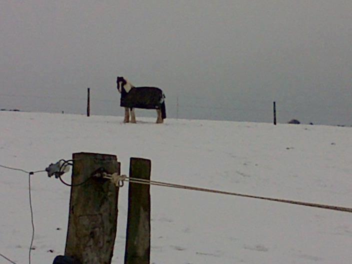 thomas in the snow thomas in the snow
